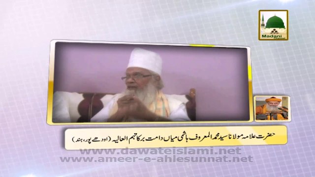 Special Views - Allama Maulana Syed Muhammad Hashmi Miyan Sahib