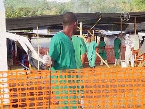 ВОЗ: Эбола может поразить 20000 человек в мире