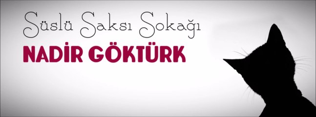 Nadir Göktürk - Merdiven