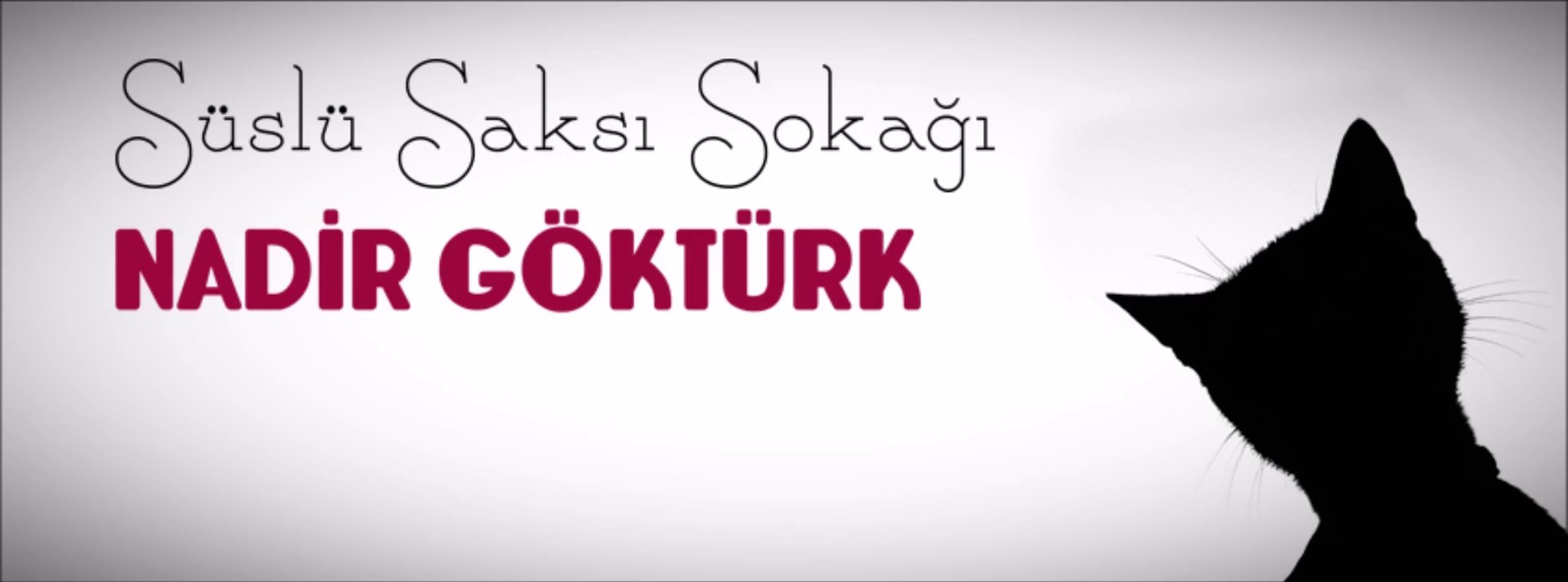 Nadir Göktürk - N S'yi Seviyor