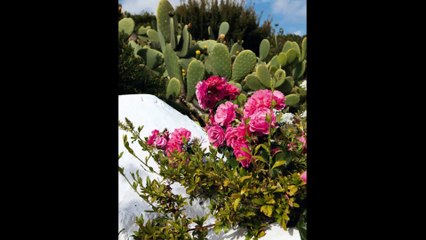 Частен рай в Ибиса