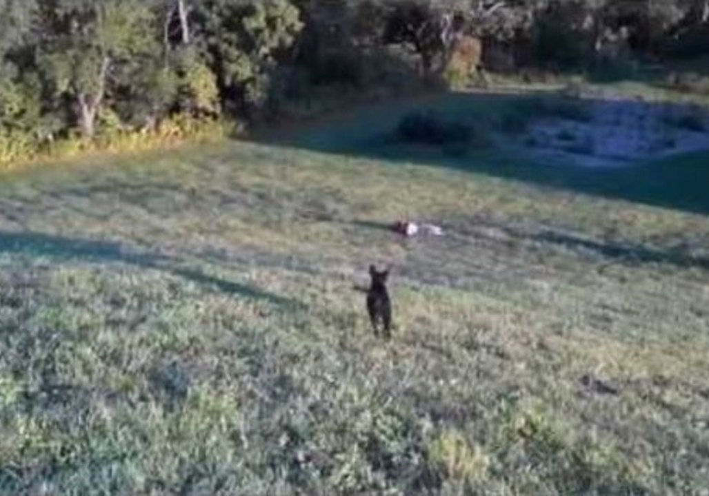 Ice Bucket Challenge Goes Wrong