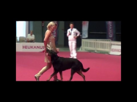 Championnat de France d'Angers L'obé-rythmée