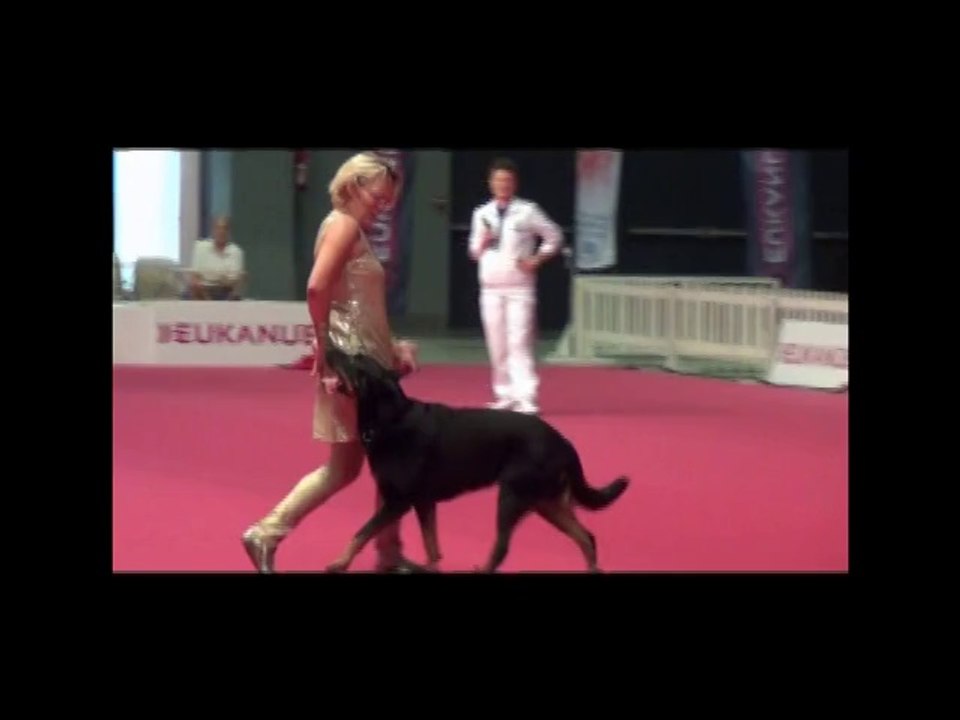 Championnat de France d'Angers " L'obé-rythmée "