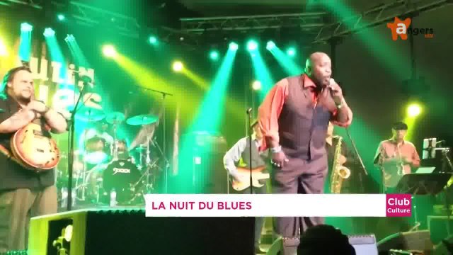 CLUB CULTURE 2ème SEMESTRE 2014 [S.2] [E.1] - Club Culture du 29/08/2014 : festival Blues en Chenin / ouvrage de Jean Louis Beau