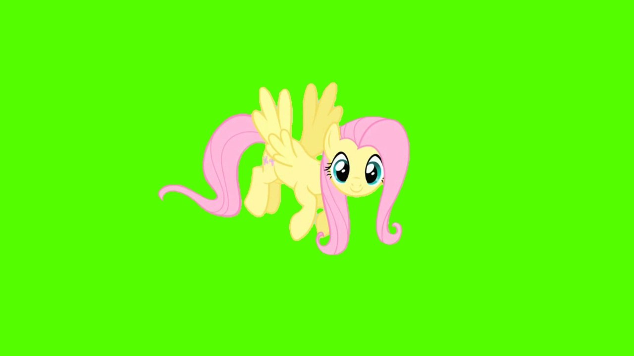 FluttershyLookCameraHover