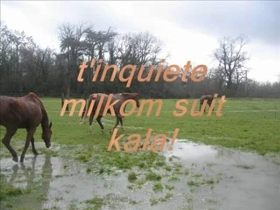 Kala qui aime ce baigner en hiver lol!