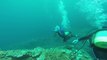 Diving under manta ray