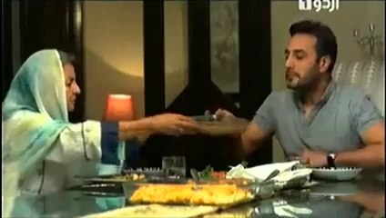 Mere Humdum Mere Dost Episode 20 "29 August 2014" Full Drama on Urdu1
