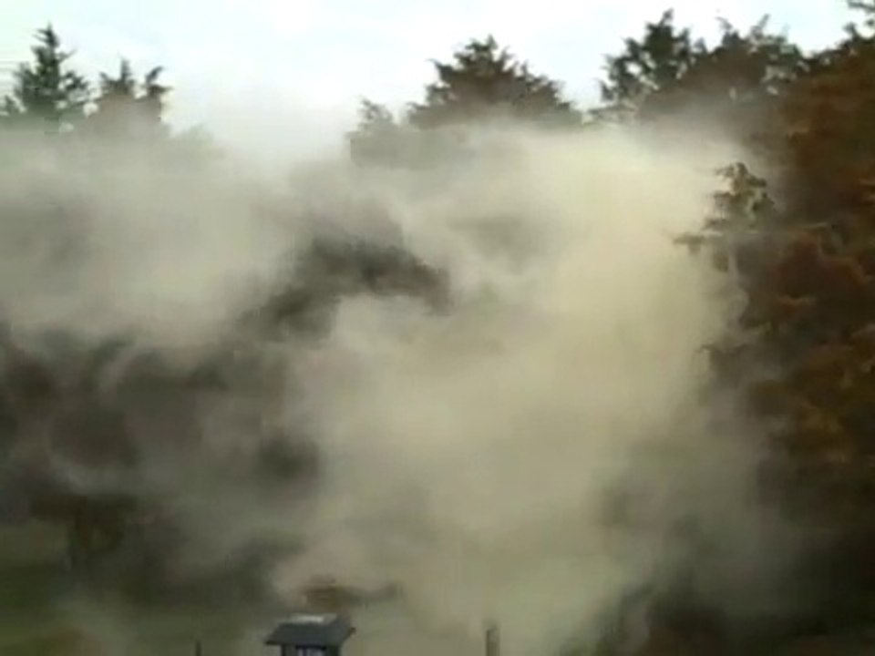Nuage de pollen