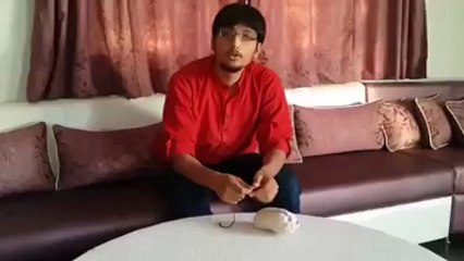 How to check if you parrot is male or female