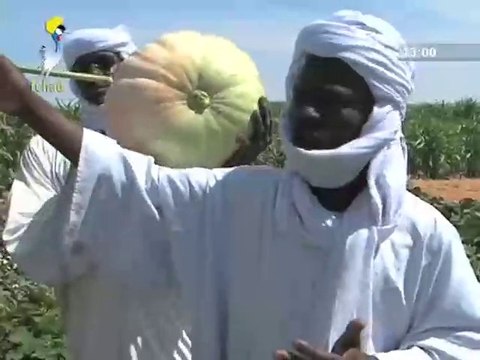 DABALAYE ARABE DU SAMEDI 30 AOUT 2014 SUR TOL