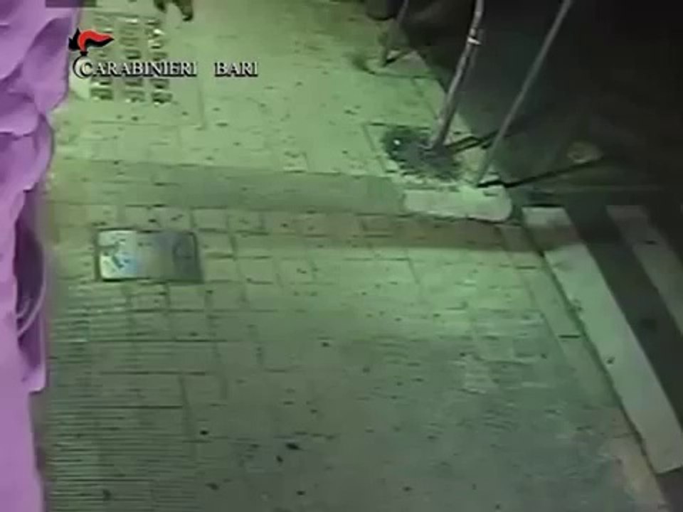 Modugno (BA) - Piromane in azione (30.08.14)