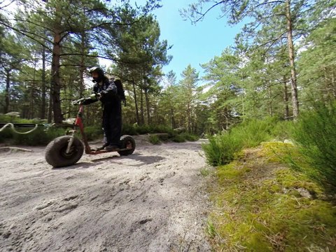 mushing à Fontainebleau, trottinette avec 16 chiens, 16 dogs scootering