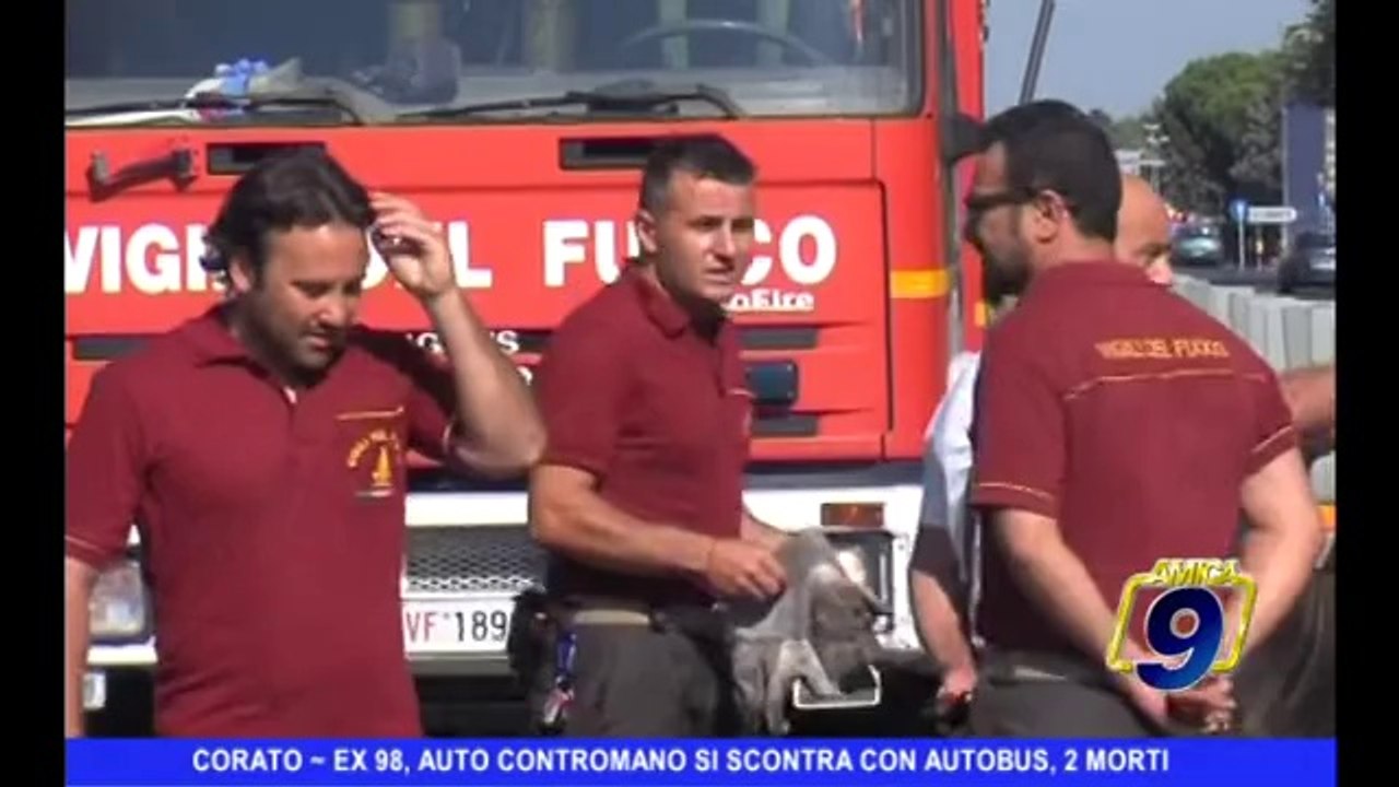 CORATO | auto contromano sulla ex ss 98 si sconta con autobus, 2 morti