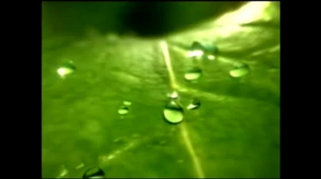 hostle 5 part 5