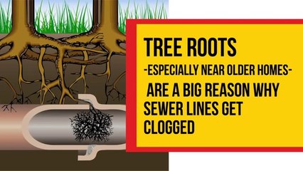 Repairing a Sewer Line Clog