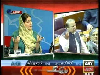 ARY News Special Transmission Azadi & Inqilab March 4pm to 5pm - 30th August 2014