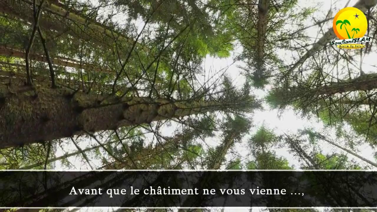 Ne vous désespérez pas de la miséricorde d'Allah.Très belle récitation. Sourate Az-Zumar: 53 55