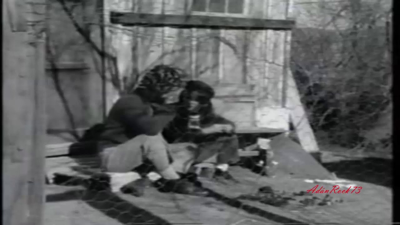 Joe Satriani - I Believe (1989)