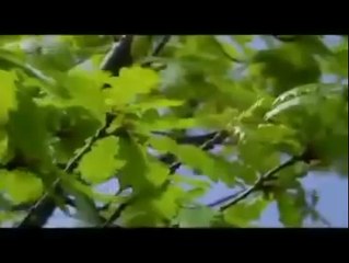 لمن يريد ان تذرف عينه من عظمة الله