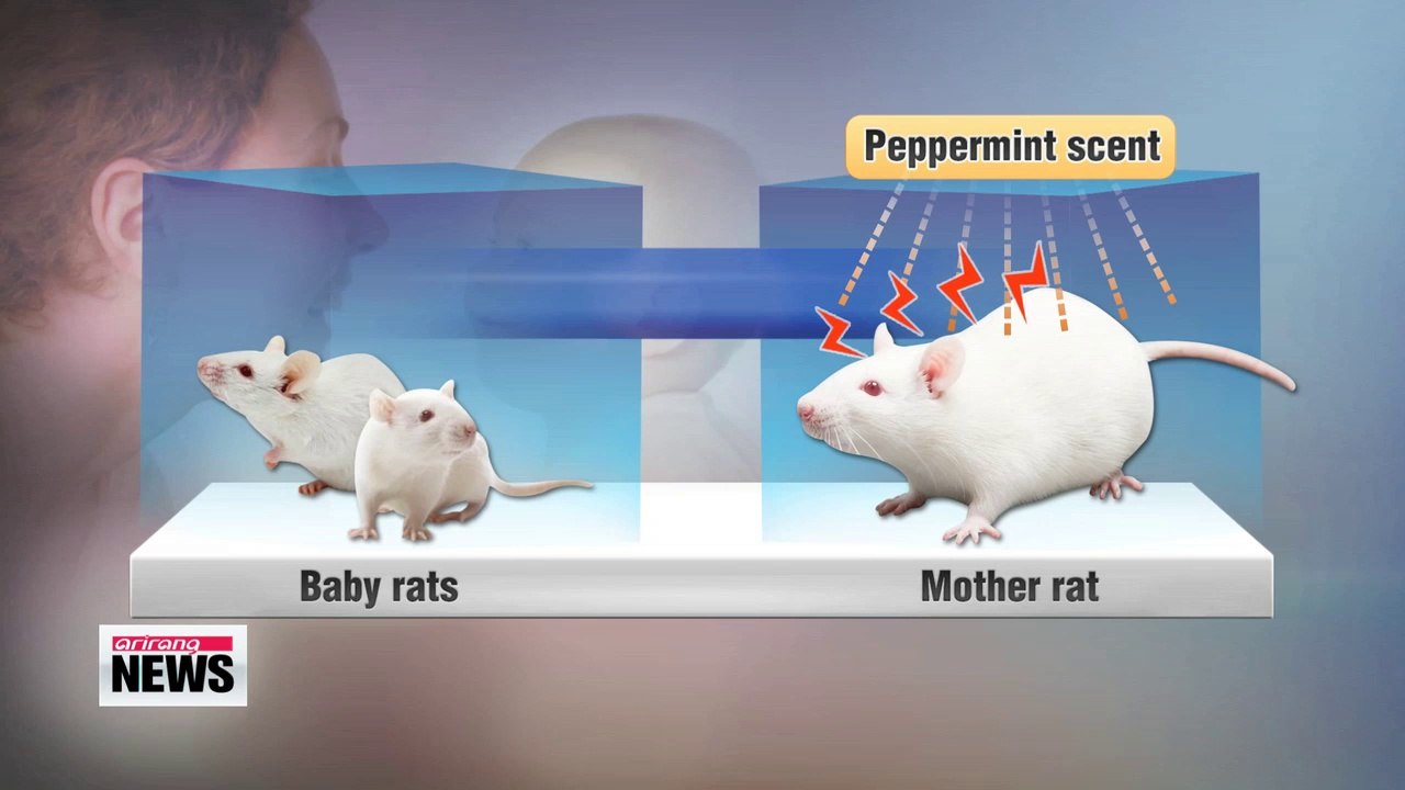 Mothers may share fears with babies via odor research