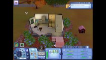 Lets play les Sims Animaux : Allez cherche médor