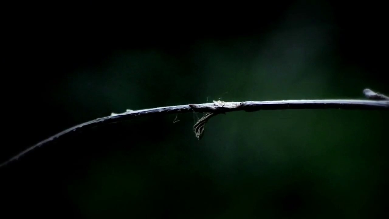 Nature fragmentée OPUS II © Eric Imbault 2014