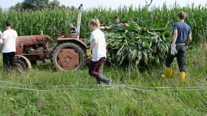 Projekttage 2014 - 3 Tage auf dem Bauernhof
