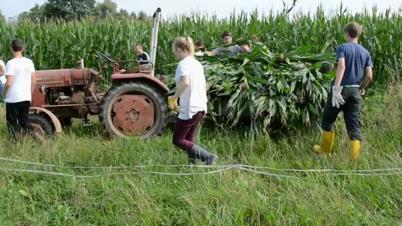 Projekttage 2014 - 3 Tage auf dem Bauernhof