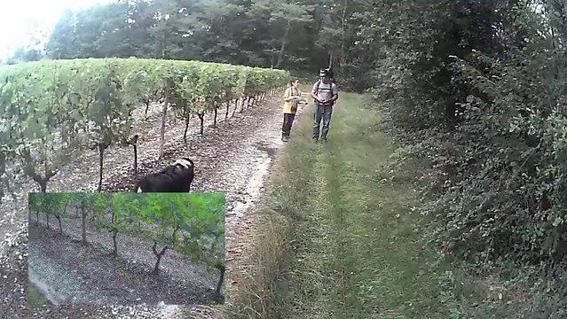 parcours de recherche utilitaire type brevet