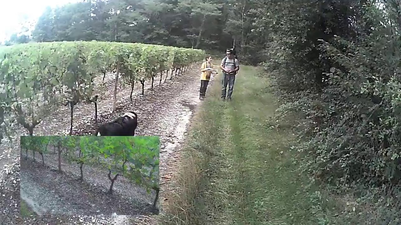 parcours de recherche utilitaire type brevet