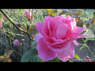 Rio Torto, Valpaços, Portugal 2014, Fernando Teixeira!