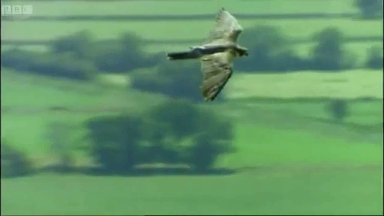 인터넷카지노게임㉠∽ŋŋ∽㉠ㅂａｃｅ９８９.ＣＯＭㅂ㉠∽ŋŋ∽㉠인터넷카지노게임