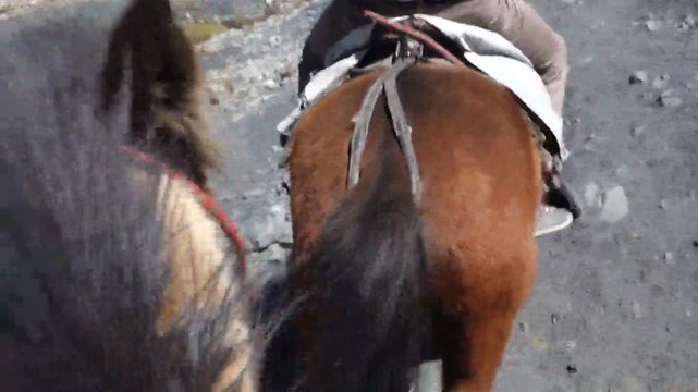 Perou- Huaraz: Toujours en route vers le Glacier Pastoruri