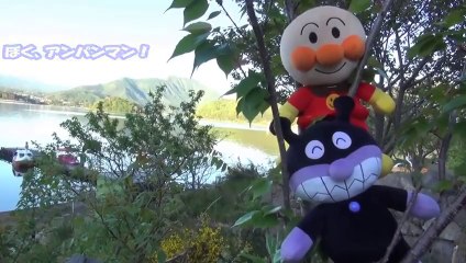 アンパンマンおもちゃ　ドキンちゃんの小さな恋のメロディ　Series Mt.Fuji　Anpanman