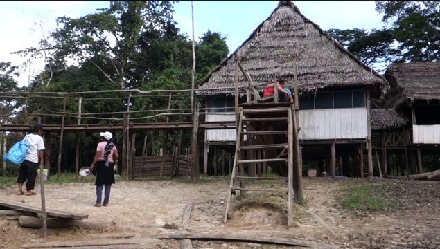 Perou- Lagunas: Réserve Pacaya-Samiria.