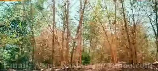 Tujhko Na Dekhun Jaanwar