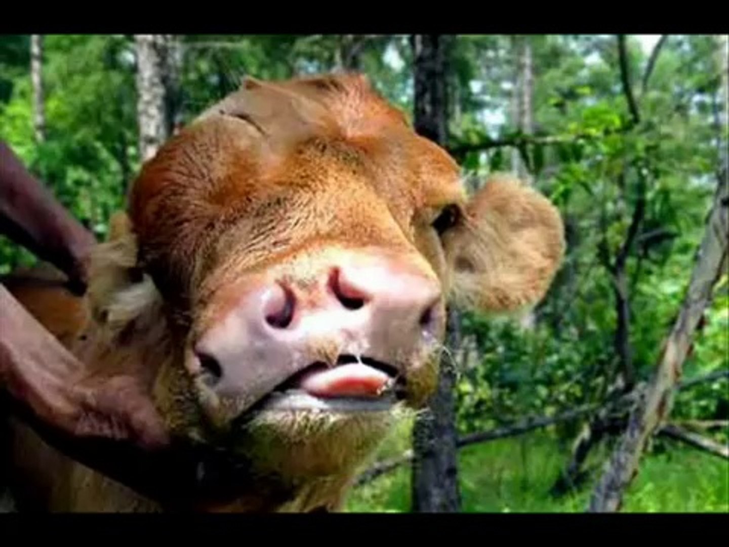 虹色の川 これはひどい 中国の環境汚染の実態 動画 Dailymotion