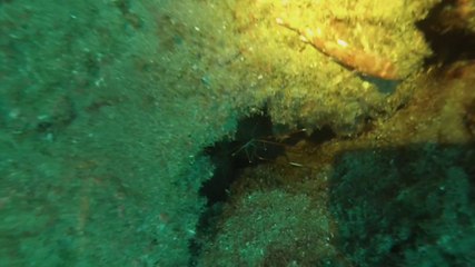 Lanzarote impresionante, primer contacto.