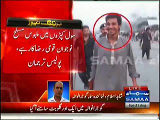 PMLN proudly launches another criminal