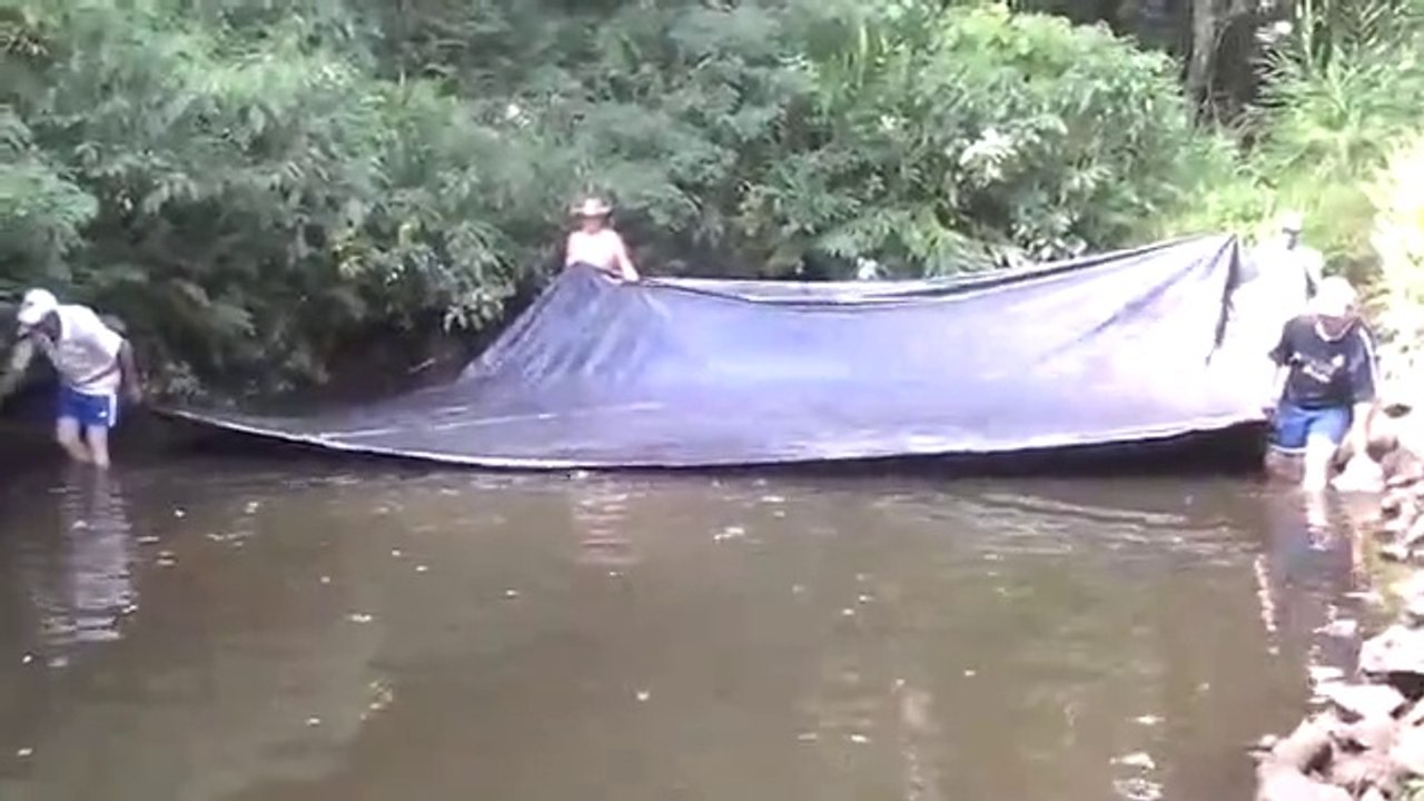 Never Knew They Catch Fishes Like This