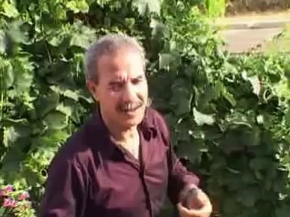 mbarek el meskini 2014 zine mli7 امبارك المسكيني 2014 الزين مليح