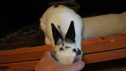 Granulés du matin (31-08-14)