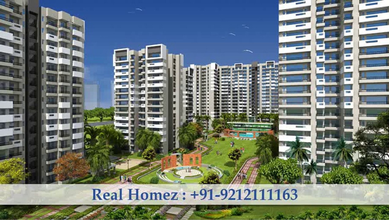 Exotica Sports City - Exotica Northville Noida