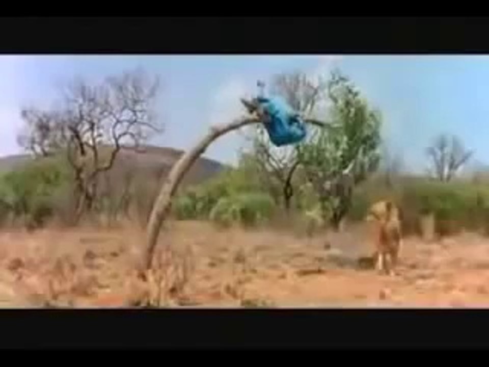 Tanrılar çıldırmış