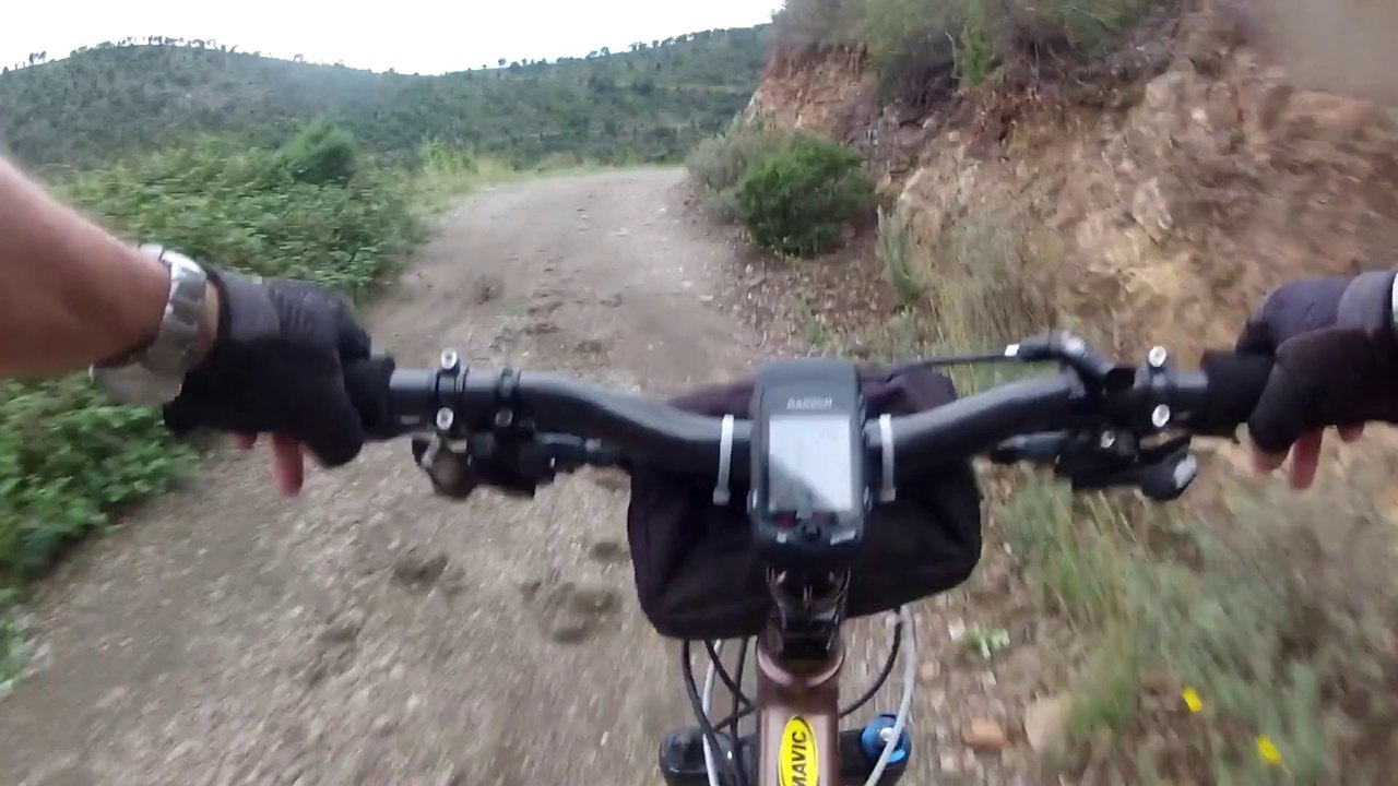 Colera1