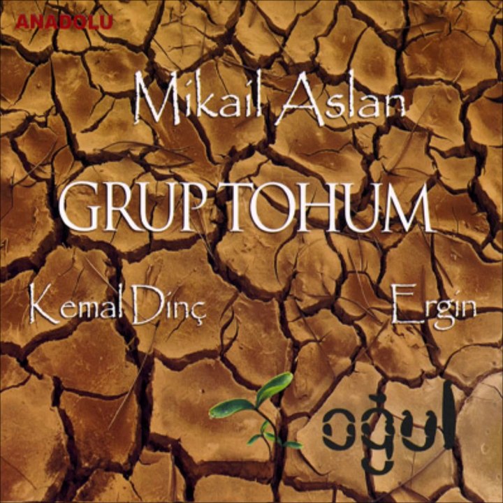 Grup Tohum - Taşa Verdim