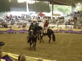 At - Atlar -Horse Fight Big - Horses   (2)